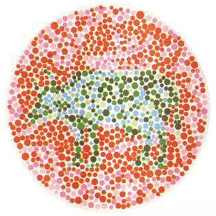 色盲测试图动物(色盲测试图动物小朋友)