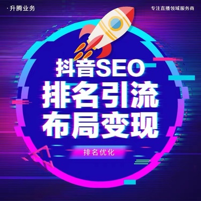 seo服务商排名(的seo服务公司)