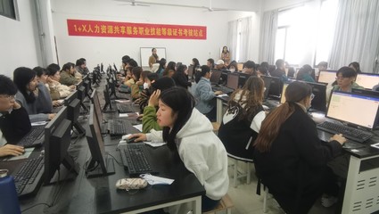 包含上海人力资源考试官网的词条
