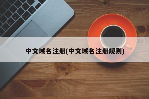 中文域名注册(中文域名注册规则)